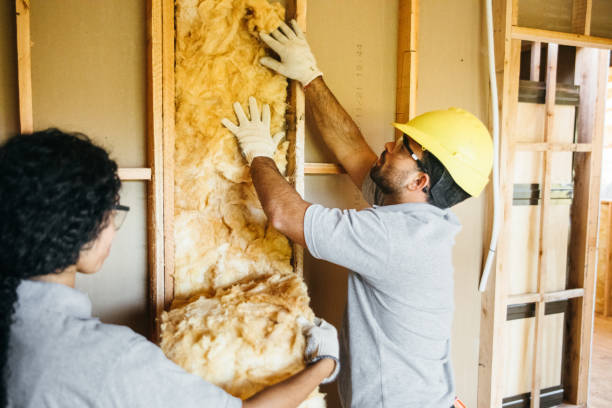 Best Blown-in Insulation  in Vinton, IA
