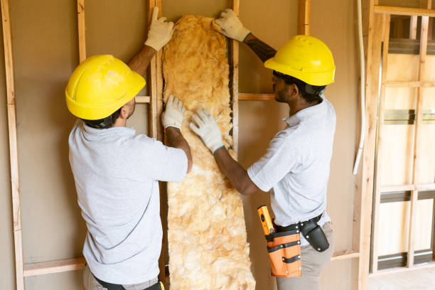 Insulation Replacement Services in Vinton, IA